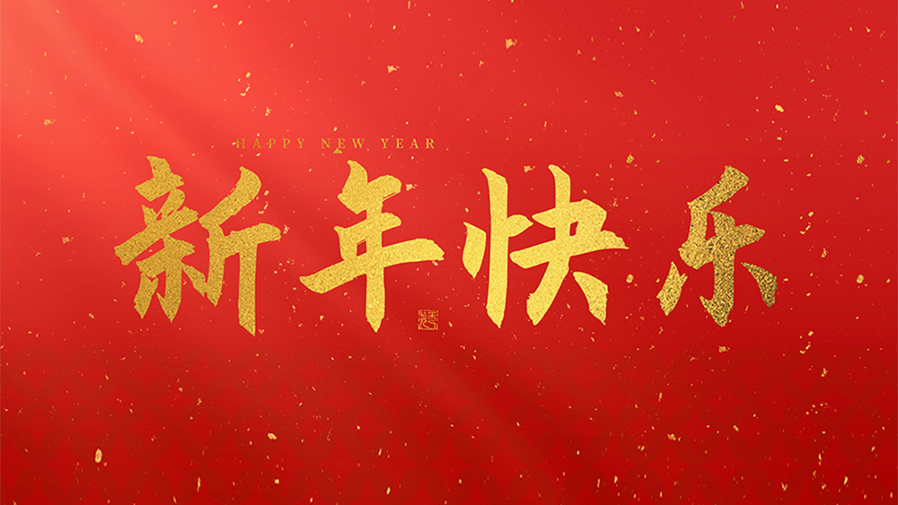 麗水市威儀自動化技術(shù)有限公司祝全國人民2025新年快樂！